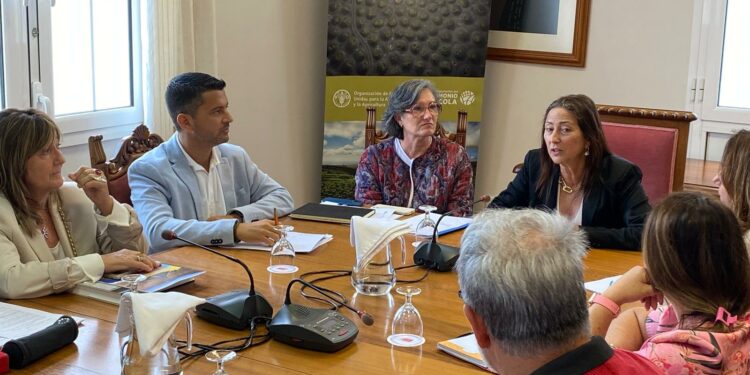 Educación se reúne con centros de Lanzarote y La Graciosa para iniciar la ejecución de espacios de sombra