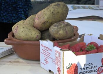 fotos archivo papa y fresas