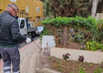 Imagen de archivo de una desinsectación en Las Palmas de Gran Canaria