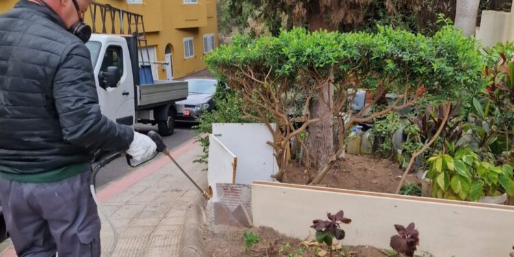 Imagen de archivo de una desinsectación en Las Palmas de Gran Canaria