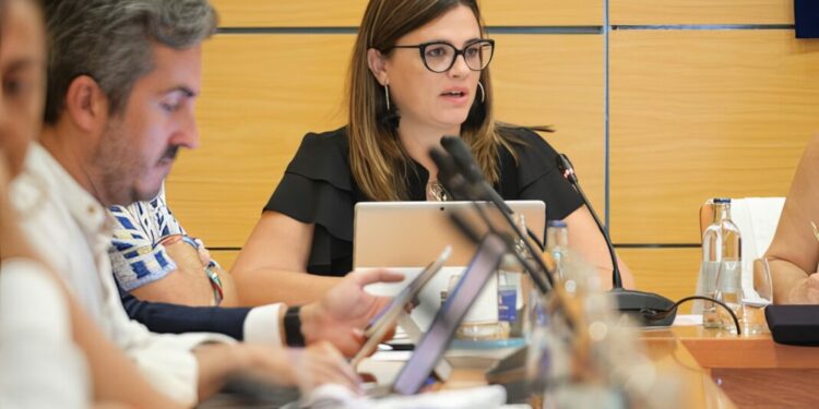 El Cabildo aprobará su Plan Económico sin recurrir a deuda y con más de 130 millones en reservas