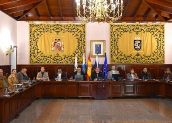 Pleno El Rosario (3)