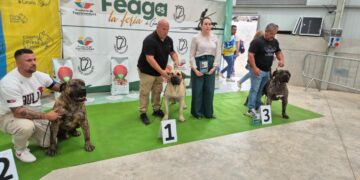 El presa canario y los podencos protagonizan una jornada memorable en FEAGA 2025