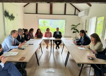 Clavijo ve en la nueva estrategia de Bruselas con las RUP una “oportunidad” para limitar la compra de viviendas