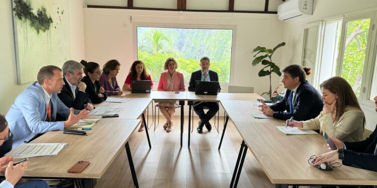 Clavijo ve en la nueva estrategia de Bruselas con las RUP una “oportunidad” para limitar la compra de viviendas