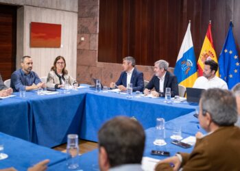 Las Organizaciones Profesionales Agrarias manifiestan al Gobierno de Canarias su respaldo al proyecto del plátano