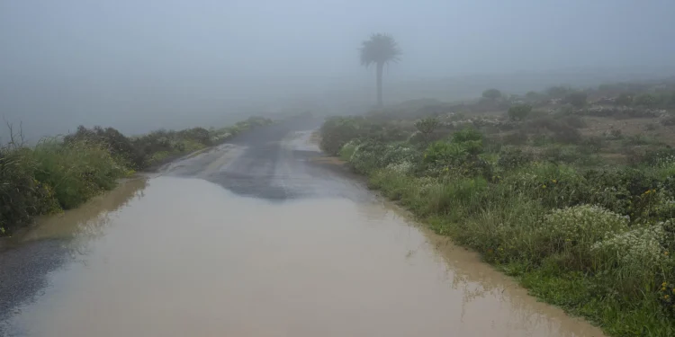Una tromba de agua causa inundaciones en bajos y garajes y el cierre de vías en Lanzarote