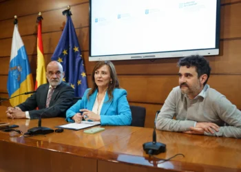 La Comunidad de Canarias empieza el camino para ‘funcionarizar’ a los empleados laborales