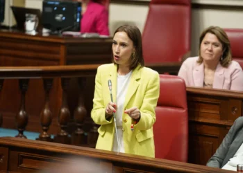El PSOE responsabiliza a Fernando Clavijo del fracaso de la dependencia