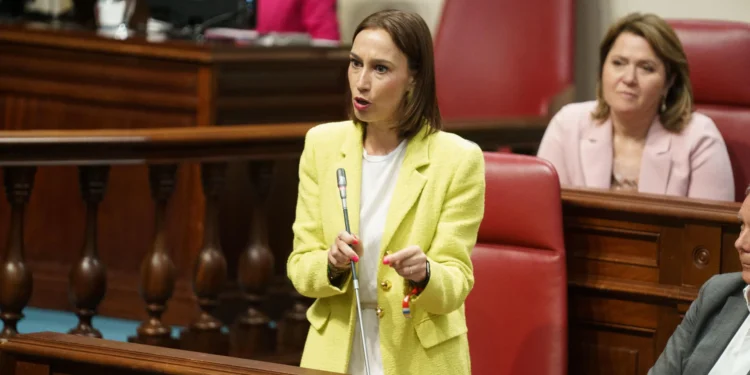 El PSOE responsabiliza a Fernando Clavijo del fracaso de la dependencia