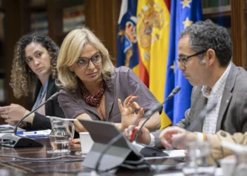 El PSOE critica la «tercera ausencia» del director del SCS en comisión parlamentaria