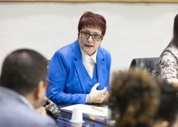 Elena Máñez (PSOE) critica que el sistema público de servicios sociales «agoniza»