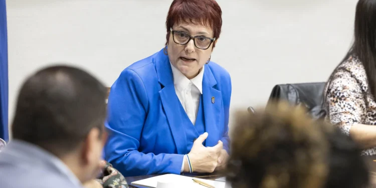 Elena Máñez (PSOE) critica que el sistema público de servicios sociales «agoniza»