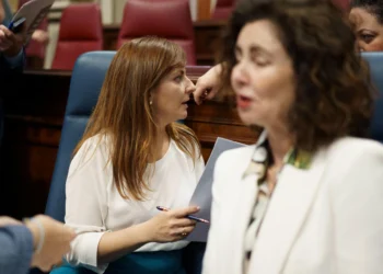 El Gobierno de Canarias califica de «grave error» asociar inmigración con criminalidad