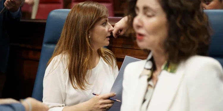 El Gobierno de Canarias califica de «grave error» asociar inmigración con criminalidad