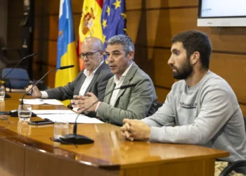 Piden a la población de Canarias consumir papa local, con un «precio justo» de 1,40 euros el kilo