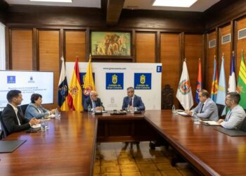 Visita vicepresidente del Gobierno al Cabildo de Gran Canaria.pg