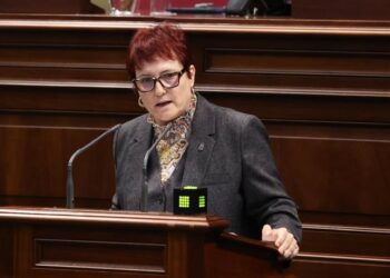 Delgado reprocha a los socialistas haber desmantelado el sistema de protección a la infancia en Canarias