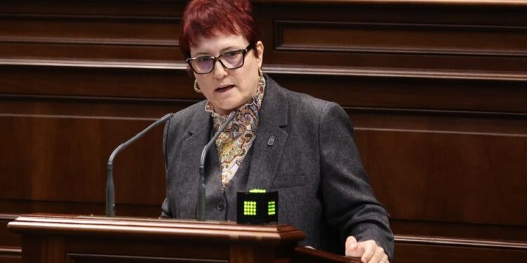Delgado reprocha a los socialistas haber desmantelado el sistema de protección a la infancia en Canarias
