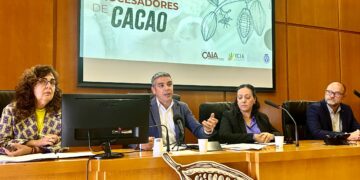 El cacao de Canarias despierta el interés de empresas españolas que elaboran chocolates artesanales
