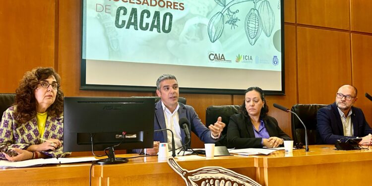 El cacao de Canarias despierta el interés de empresas españolas que elaboran chocolates artesanales