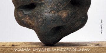 El Gobierno y los Ayuntamientos de La Orotava y Los Realejos celebran el miércoles el Día Internacional de la Papa