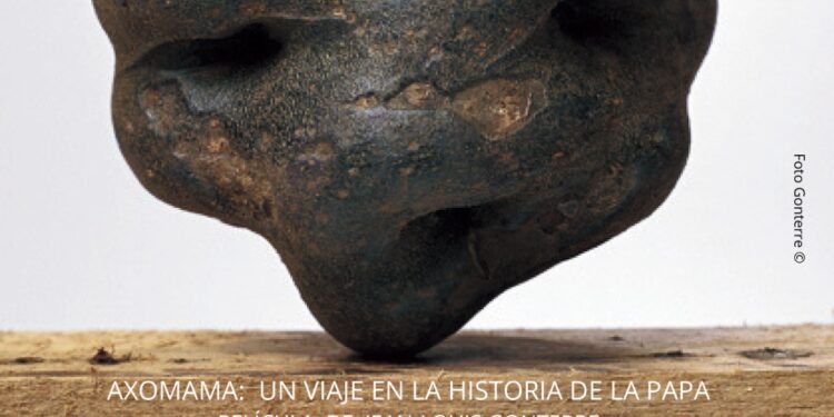 El Gobierno y los Ayuntamientos de La Orotava y Los Realejos celebran el miércoles el Día Internacional de la Papa