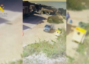 Un investigado en Zaragoza por tirar cuatro cachorros de perro a la basura