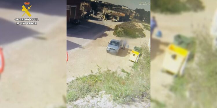 Un investigado en Zaragoza por tirar cuatro cachorros de perro a la basura