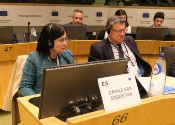 Darias participa por primera vez como vicepresidenta primera en la Comisión CIVEX del CDR.