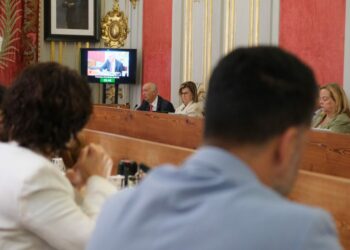 El concejal Hernández Spínola, durante el Pleno del mes de mayo
