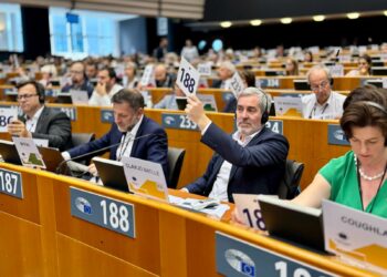 El Comité de las Regiones avala un trato específico para Canarias y las RUP en el Plan de Vivienda Asequible