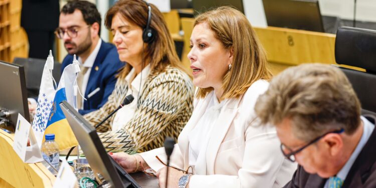 Un momento durante la sesión plenaria en Bruselas