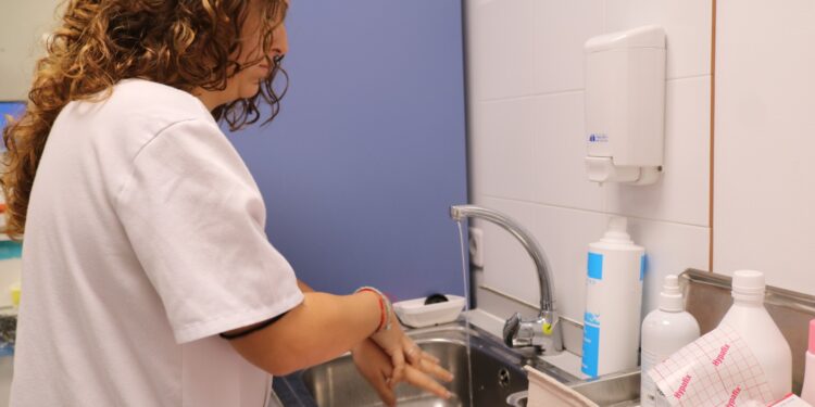 Sanidad conmemora el Día Mundial de la Higiene de Manos con actividades de concienciación