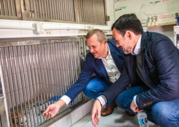 Lope Afonso y Valentín González