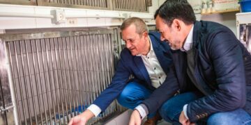 Lope Afonso y Valentín González