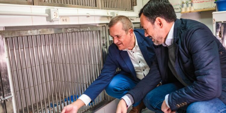 Lope Afonso y Valentín González