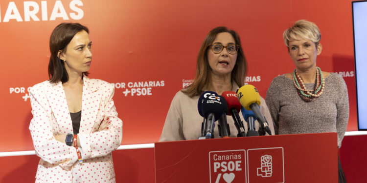 El PSOE acusa al presidente Clavijo de “falta absoluta de sensibilidad” con las personas en situación de dependencia