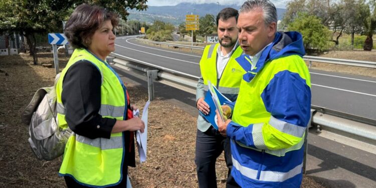 MARTIANEZ PAISAJE 001