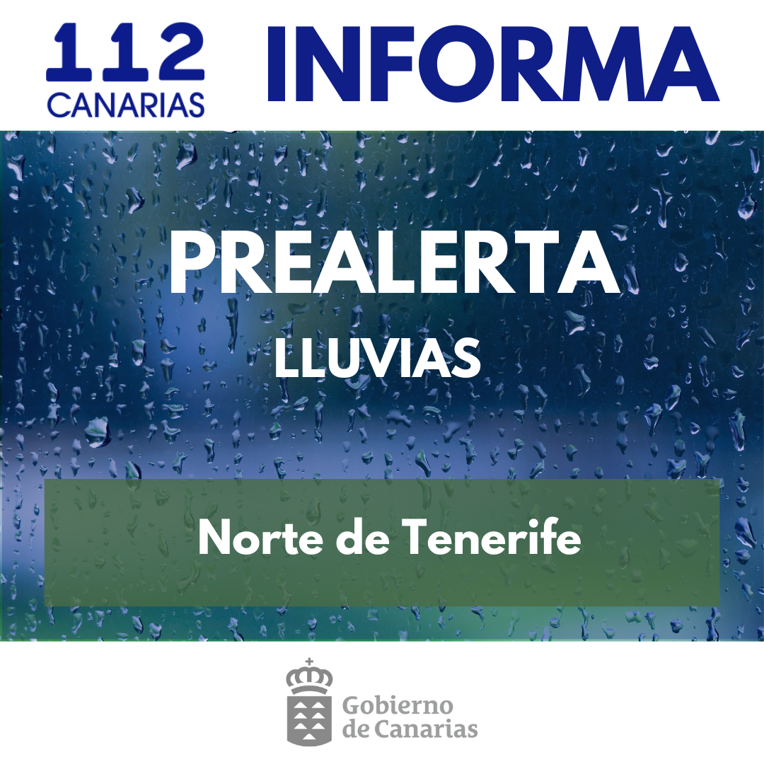 modelo-1