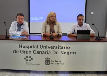Sanidad y gerentes hospitalarios analizan el desarrollo de las acciones del Plan Activa Canarias