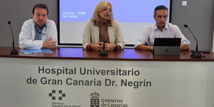 Sanidad y gerentes hospitalarios analizan el desarrollo de las acciones del Plan Activa Canarias