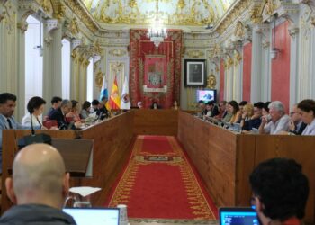 Pleno del Ayuntamiento de Las Palmas de Gran Canaria del mes de mayo