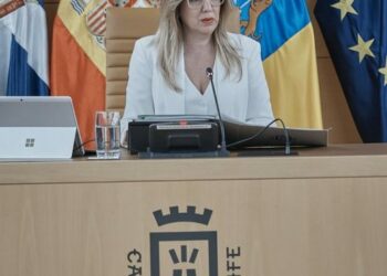 ROSA PLENO DEBATE 002