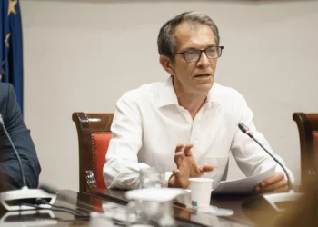 Botánico: Santa Cruz de Tenerife es una ciudad muy verde que debería ser un desierto