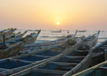 La sobrepesca en Senegal impulsa la migración irregular hacia Canarias, denuncia un nuevo informe