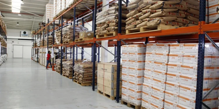 El Arsenal de Las Palmas, el PMA de la ONU y Bazar Sport, entre las siete medallas de oro 2025 de Las Palmas de Gran Canaria