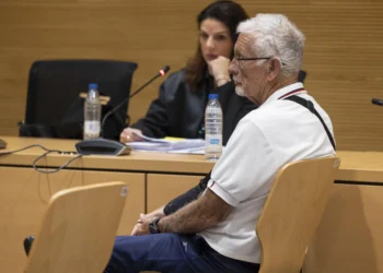 La Fiscalía rebaja a siete años y medio la pena para el autor confeso del asesinato de su tía