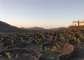 Naciones Unidas ensalza el valor patrimonial de los cultivos cubiertos de arena volcánica de Lanzarote
