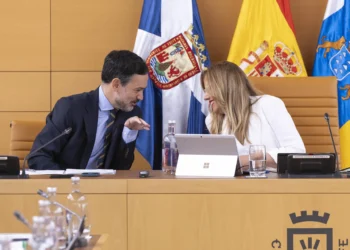 Dávila: El pacto en Tenerife es sólido pese a las discrepancias del PP sobre la tasa turística